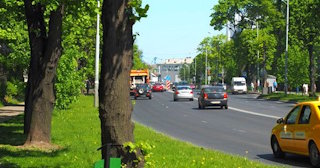 Посадка деревьев и кустарников в Черняховске — стоимость от 1258 руб.